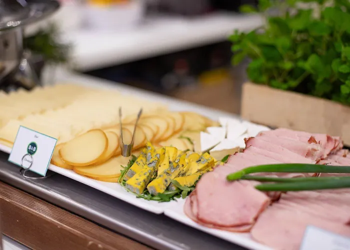 酒店 罗兹市中心b&b酒店 2*